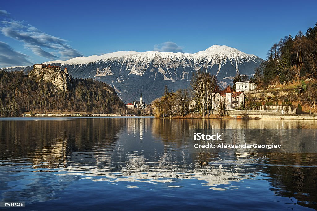 Hermosa soleado Día de invierno en el lago sangrado, Eslovenia - Foto de stock de Agua libre de derechos