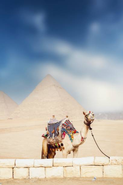 istock Breathtaking panoramic view of the Egyptian desert landscape 1748672909