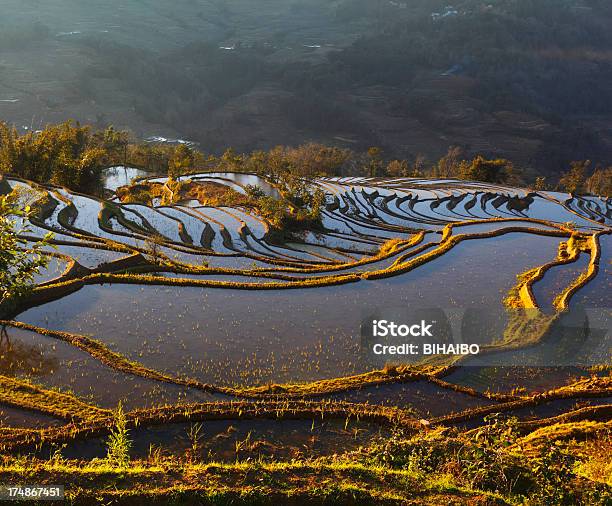 Foto de Yuanyang Terraços Cultiváveis e mais fotos de stock de Agricultura - Agricultura, Ajardinado, Aldeia