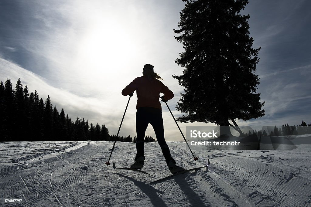 Silhueta de jovens mulheres em esqui cross-country - Foto de stock de Neve royalty-free