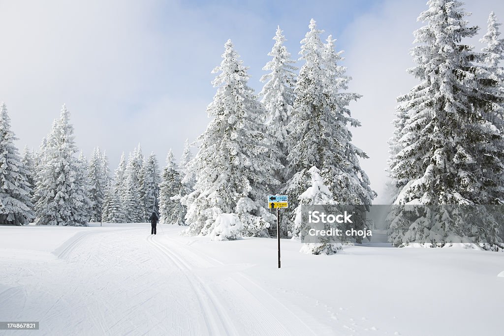 スキー選手の美しい冬 day.Rogla ,スロベニア - ウィンタースポーツのロイヤリティフリーストックフォト
