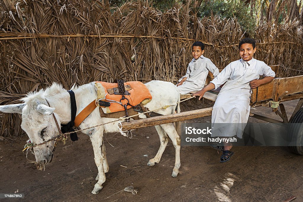 Musulmans jeunes garçons équitation sur donkey panier, Oasis de Siwa, Sahara - Photo de Enfant libre de droits