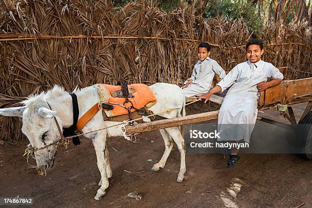 Photo libre de droit de Musulmans Jeunes Garçons Équitation Sur Donkey Panier Oasis De Siwa Sahara banque d'images et plus d'images libres de droit de Enfant