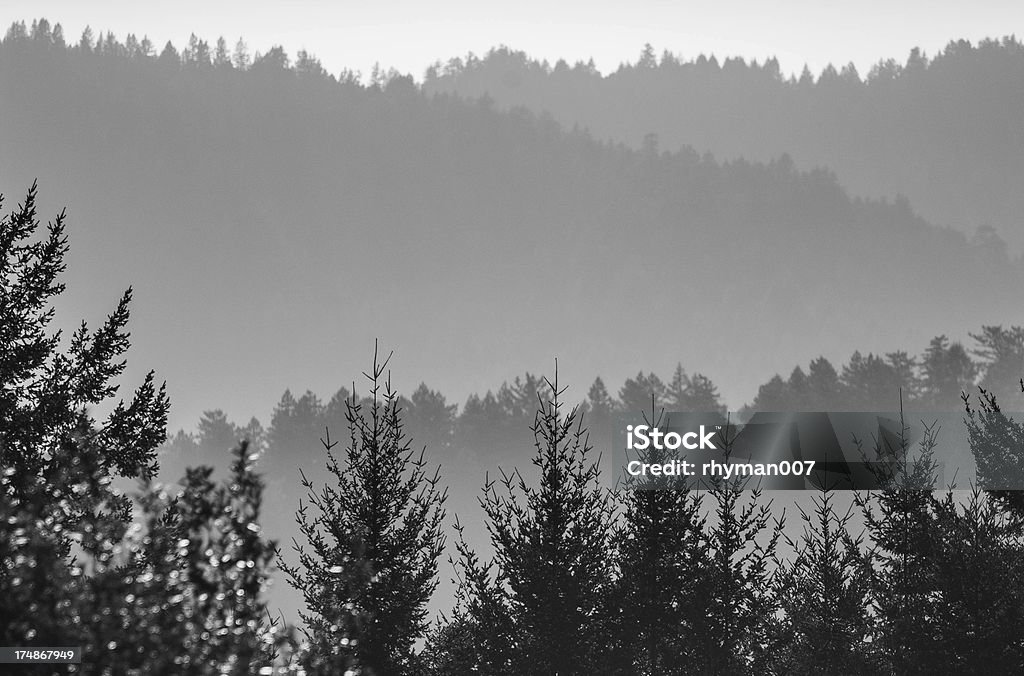 Capa de niebla sobre Hills - Foto de stock de Aire libre libre de derechos