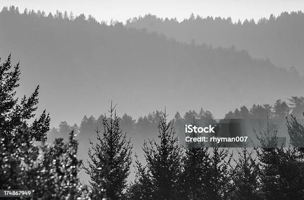 Capa De Niebla Sobre Hills Foto de stock y más banco de imágenes de Aire libre - Aire libre, Belleza de la naturaleza, Bosque
