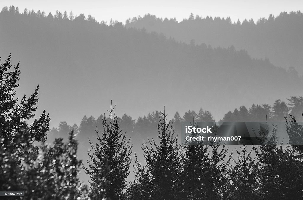 Warstwy Mgła nad Hills - Zbiór zdjęć royalty-free (Bez ludzi)
