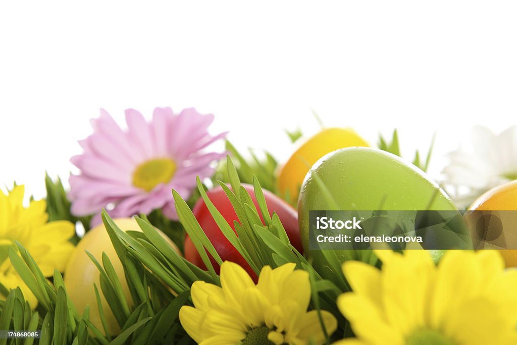 Wielkanoc - Zbiór zdjęć royalty-free (Bez ludzi)