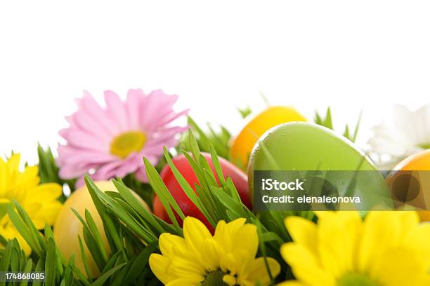 Wielkanoc - zdjęcia stockowe i więcej obrazów Bez ludzi - Bez ludzi, Białe tło, Bliskie zbliżenie