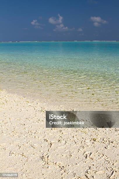 Malediven Coral On White Sand Beach Stockfoto und mehr Bilder von Atoll - Atoll, Blau, Farbbild