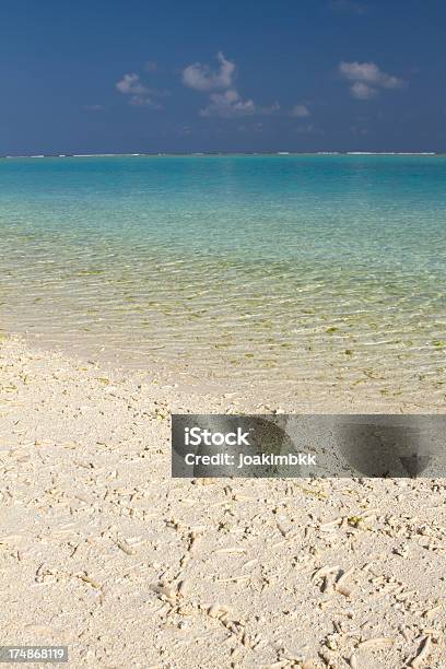 Foto de Maldivas Coral Na Praia De Areias Brancas e mais fotos de stock de Areia - Areia, Atol, Azul