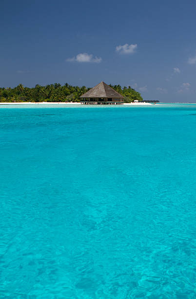 istock Maldivian luxury resort 174868145