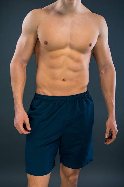 corpo muscolare maschi - body building human muscle male body foto e immagini stock