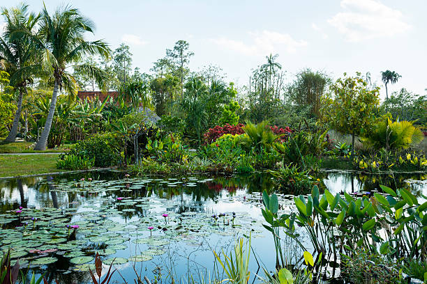 istock Slice of Paradise 174868222
