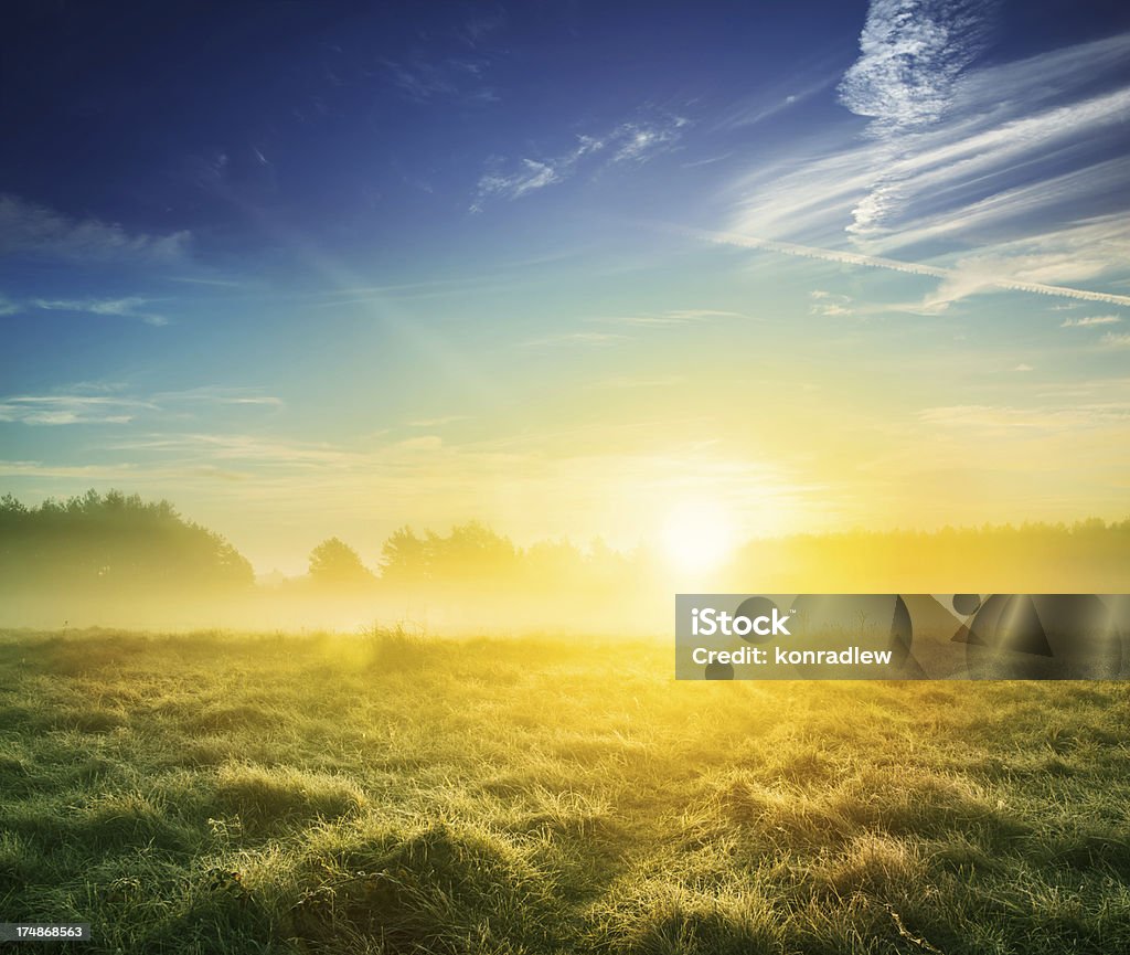 Grünen Wiese Landschaft während nebeligen Sonnenuntergang - Lizenzfrei Bildhintergrund Stock-Foto