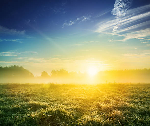 istock Green Meadow Landscape during Foggy Sunset 174868563