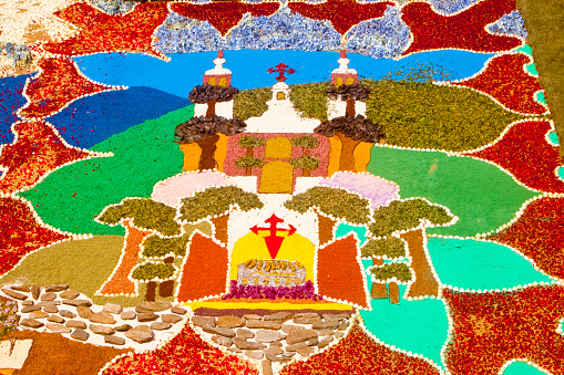 Decoration flooring, vegetation and flower carpet during traditional festival celebrations. Santiago de Compostela cathedral image, A Coruña  province, Galicia, Spain.