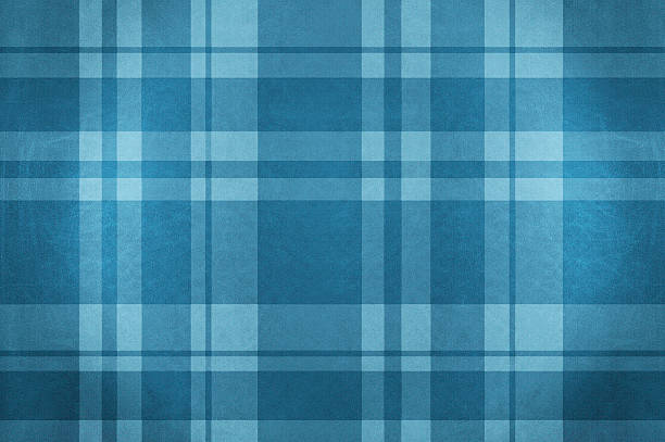 blauer samt karierte stoff tischtuch - blue gingham stock-fotos und bilder