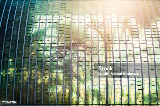 シュロ栽培の温室 - ガラスのストックフォトや画像を多数ご用意 - ガラス, シュロ栽培の温室, ヤシの木