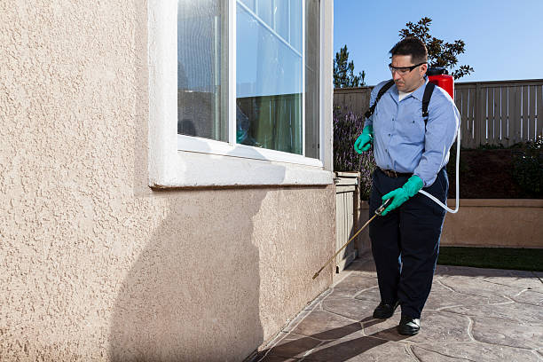 Pest Control Man treating house for pest control. Professional exterminator. crop sprayer stock pictures, royalty-free photos & images