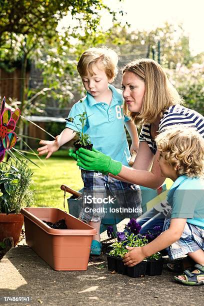 Mulher Caucasiana E Meninos Jardinagem Juntos - Fotografias de stock e mais imagens de Primavera - Estação do ano - Primavera - Estação do ano, Vertical, 2-3 Anos