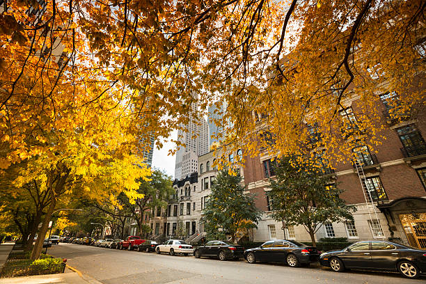 istock Historic homes in Chicago 174869168