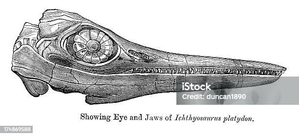 Ichthyosaurus Platyodontemnodontosaurus - Arte vetorial de stock e mais imagens de Animal - Animal, Antigo, Antiguidade