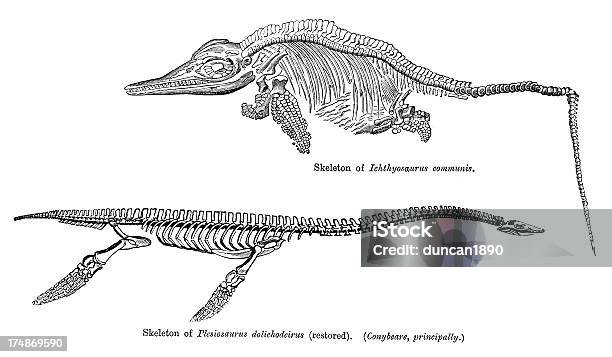 Ichthyosaurus And Plesiosaurus Stock Illustration - Download Image Now - Ancient History, Animal, Animal Attribute