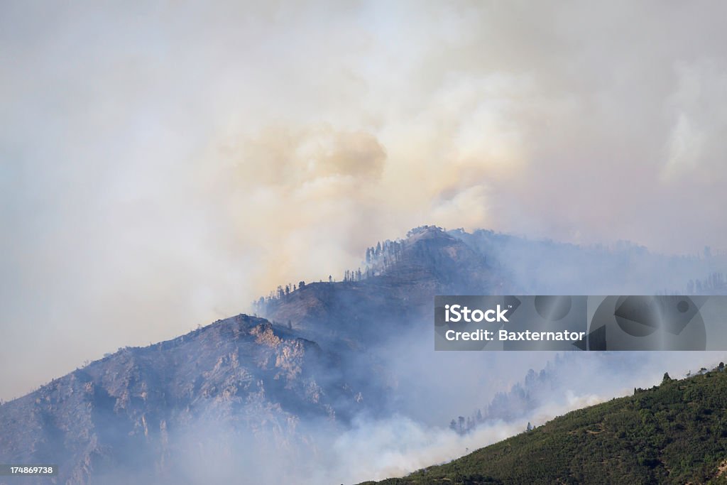 Incêndio Florestal - Foto de stock de Cordilheira royalty-free