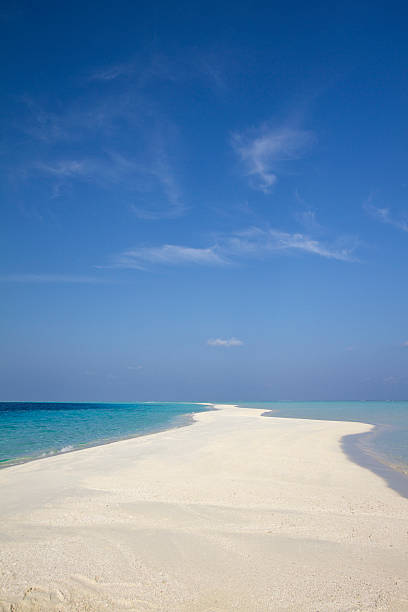 istock Maldives paradise white sand beach 174869908
