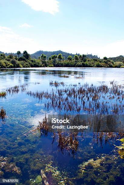 Photo libre de droit de Te Waikoropupu Springs Golden Bay Nouvellezélande banque d'images et plus d'images libres de droit de Source naturelle