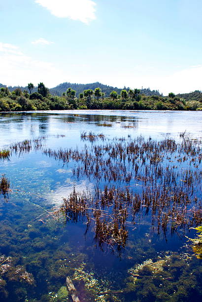 istock Te Waikoropupu Springs (Pupu), Golden Bay, NZ 174870170