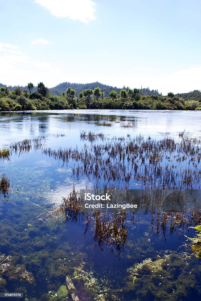 Te Waikoropupu Springs (Pupu), Golden Bay, Nova Zelândia - Royalty-free Nascente Foto de stock