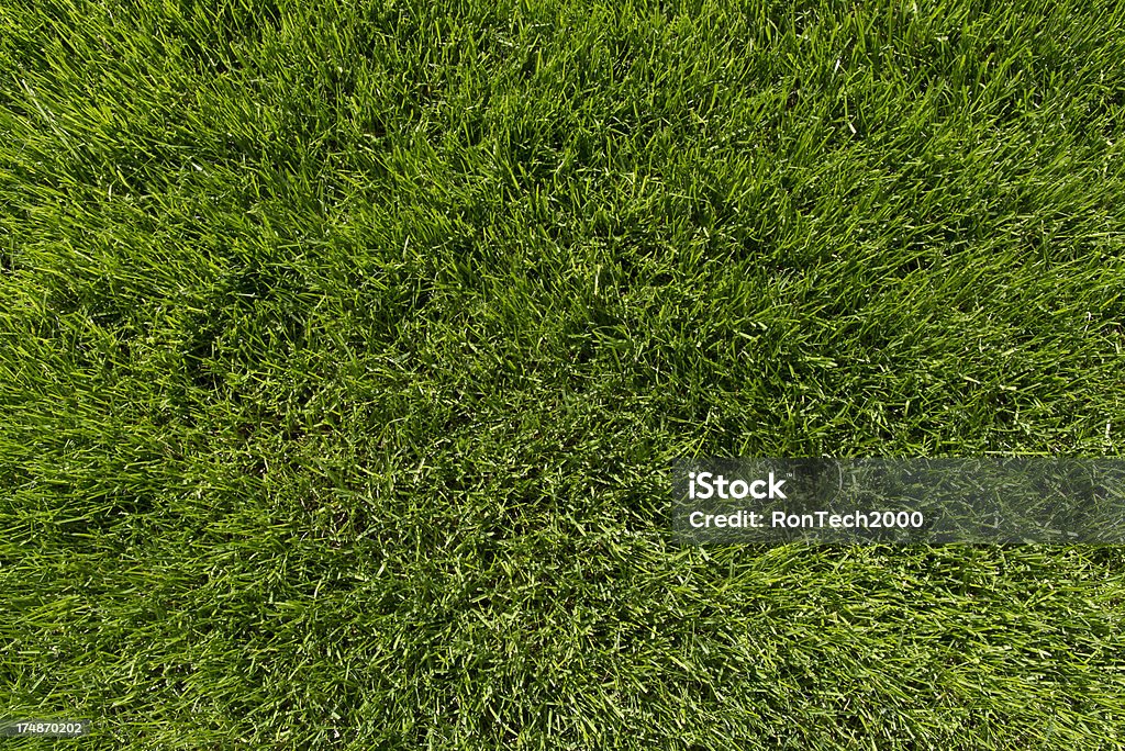 Gras, Nahaufnahme - Lizenzfrei Abstrakt Stock-Foto