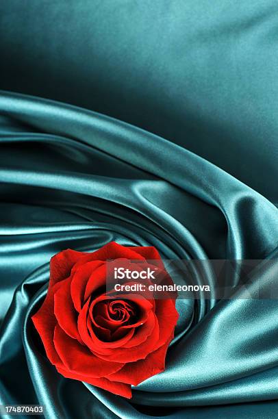 Rose E Seta - Fotografie stock e altre immagini di Amore - Amore, Bellezza, Bellezza naturale