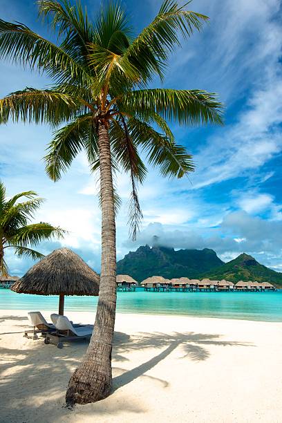 wakacje w tahiti - bora bora polynesia beach bungalow zdjęcia i obrazy z banku zdjęć