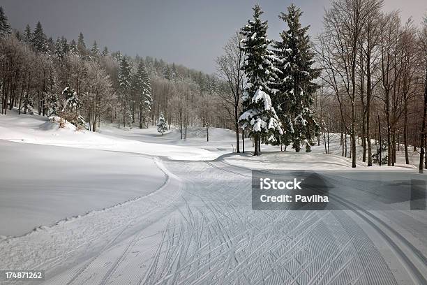 Crosscountry Rastro De Esquí En La Nieve De Invierno Eslovenia Foto de stock y más banco de imágenes de Aire libre