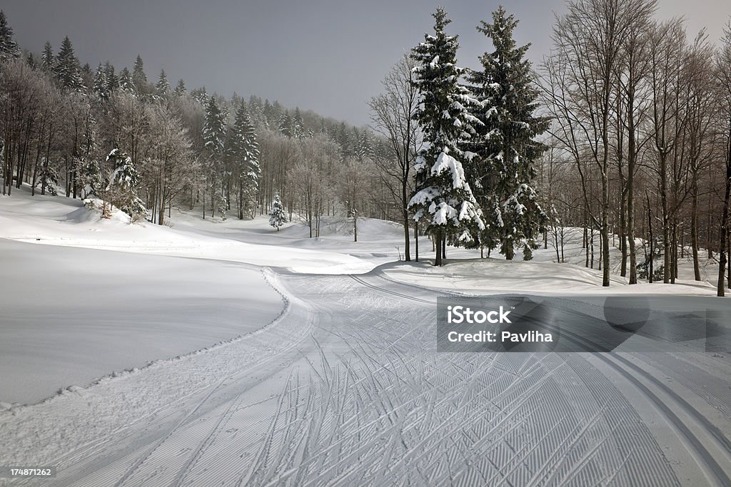 Sci di fondo traccia nella neve invernale Slovenia - Foto stock royalty-free di Albero