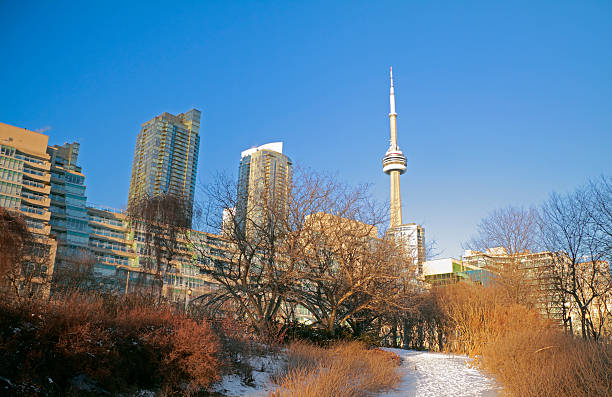 istock Toronto Winter Garden 174871655