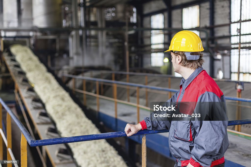 Usine de canne à sucre - Photo de Activité libre de droits