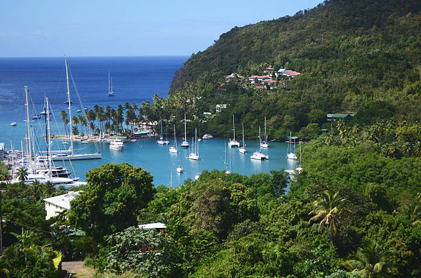 marigot bay in st. lucia - st lucia bay caribbean marigot bay stock-fotos und bilder