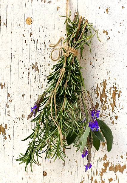 istock Aromatic herbs- Sage, Rosemary, Lavender 174872340