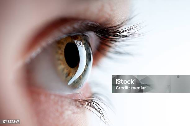 Insight Stock Photo - Download Image Now - Eye, Human Eye, Macrophotography