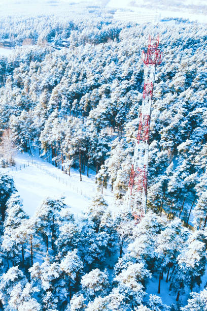 istock View of the coniferous forest from the air after a snowfall 1748723676