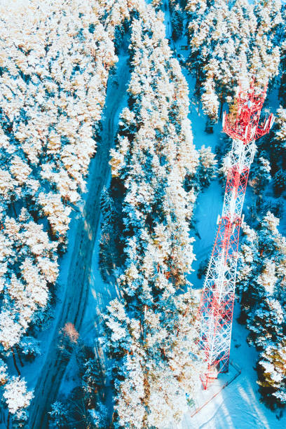 istock View of the coniferous forest from the air after a snowfall 1748724238
