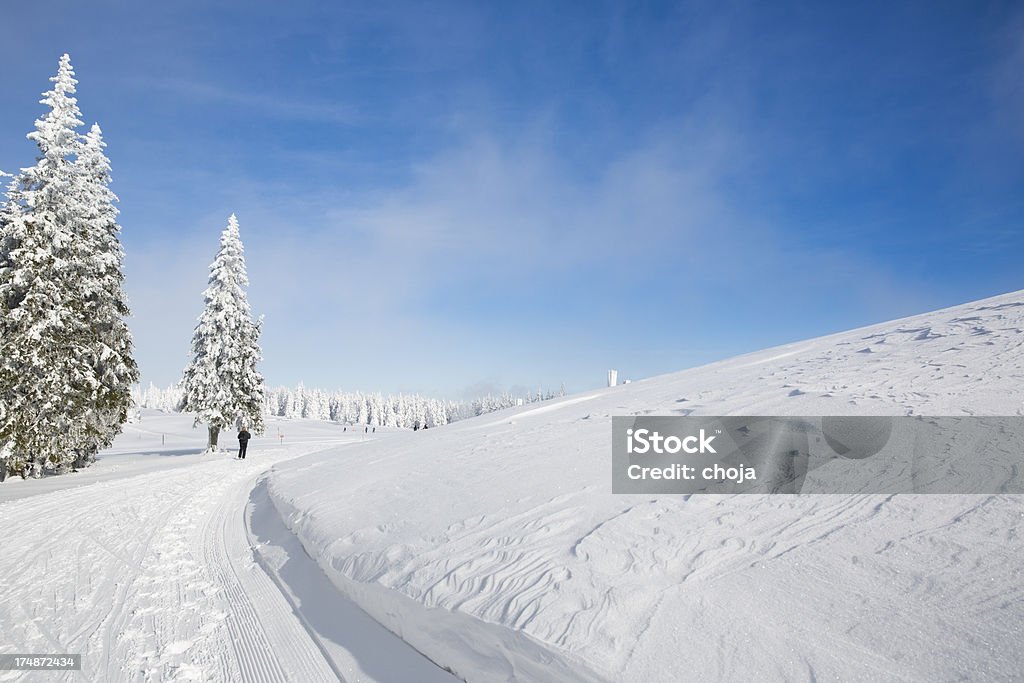 Ski-Läufer auf einem schönen winter day.Rogla, Slowenien - Lizenzfrei Fotografie Stock-Foto