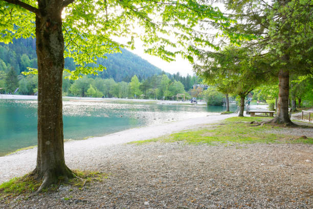 istock Summer evening landscape on Jasna lake park 1748728092