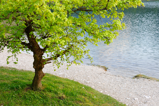 Early morning view of the Garda Lake from the shore of Riva Del Garda