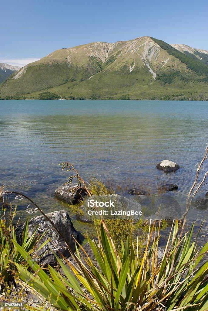 Lago Rotoiti, Nelson Lakes National Park, Nova Zelândia - Foto de stock de Alpes do sul da Nova Zelândia royalty-free