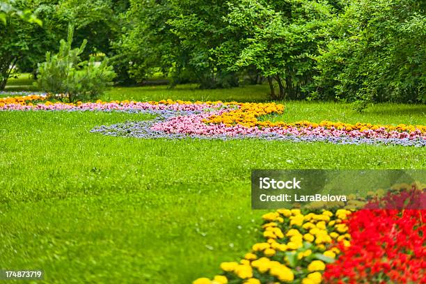 Park Stockfoto und mehr Bilder von Blume - Blume, Blumenbeet, Brasov