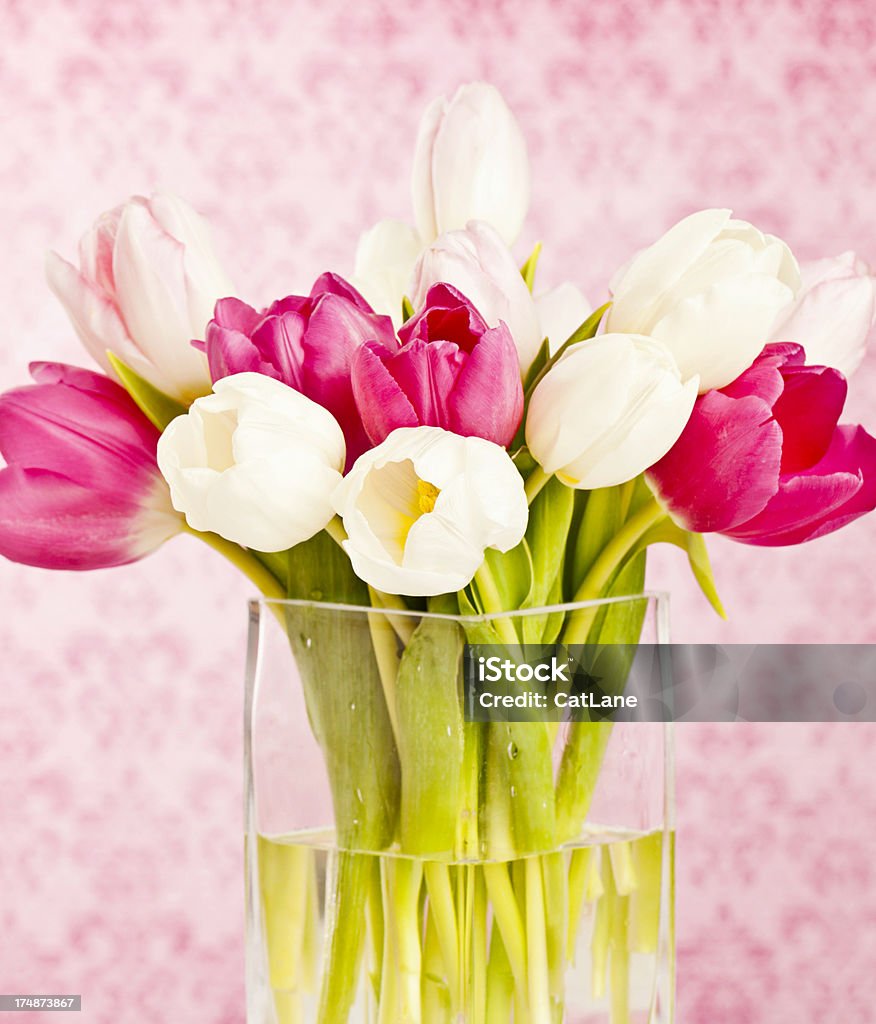 Tulipanes de primavera en un florero - Foto de stock de Arreglo libre de derechos